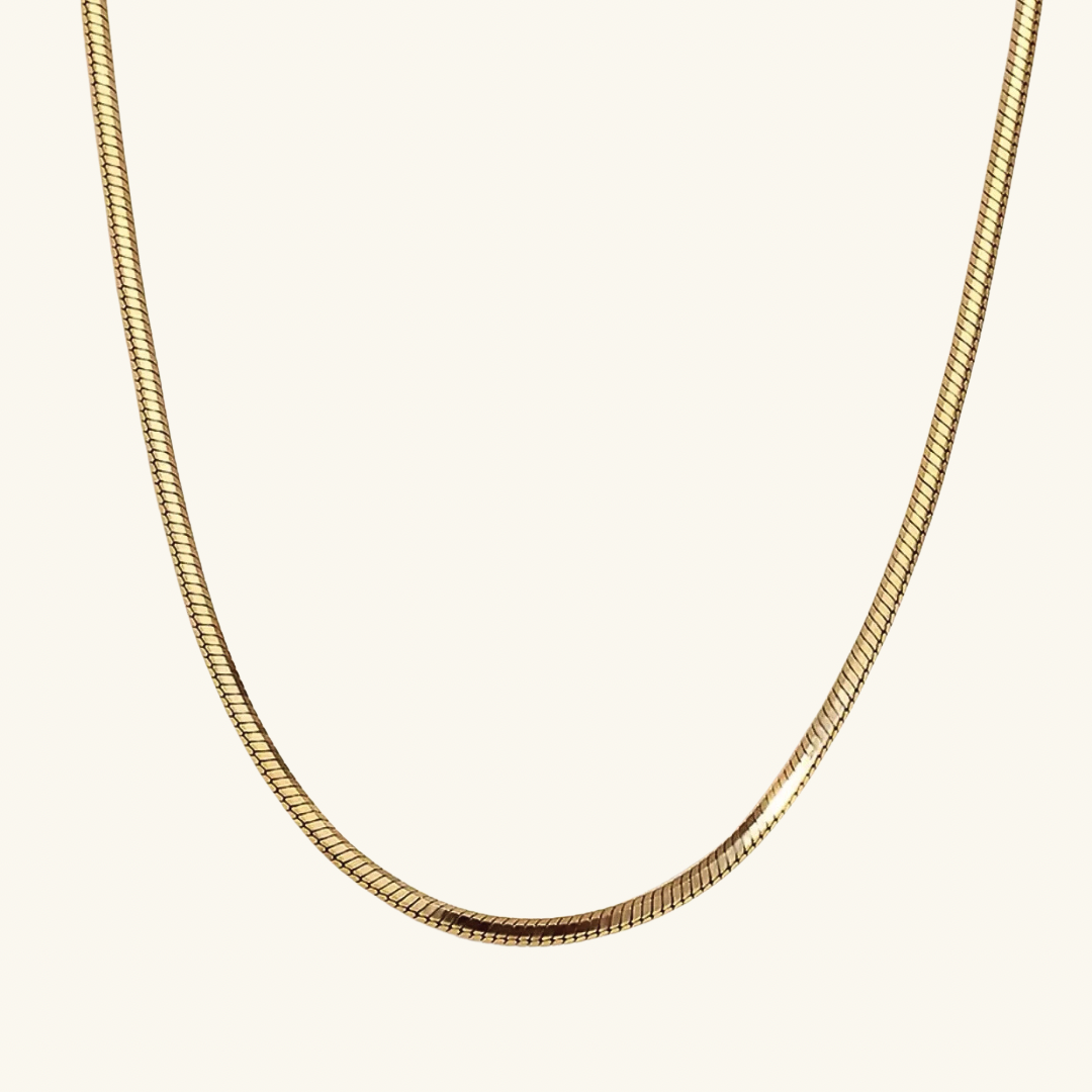 Snake Chain Necklace