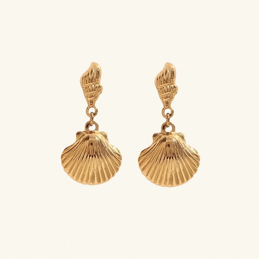 Seashell Earrings